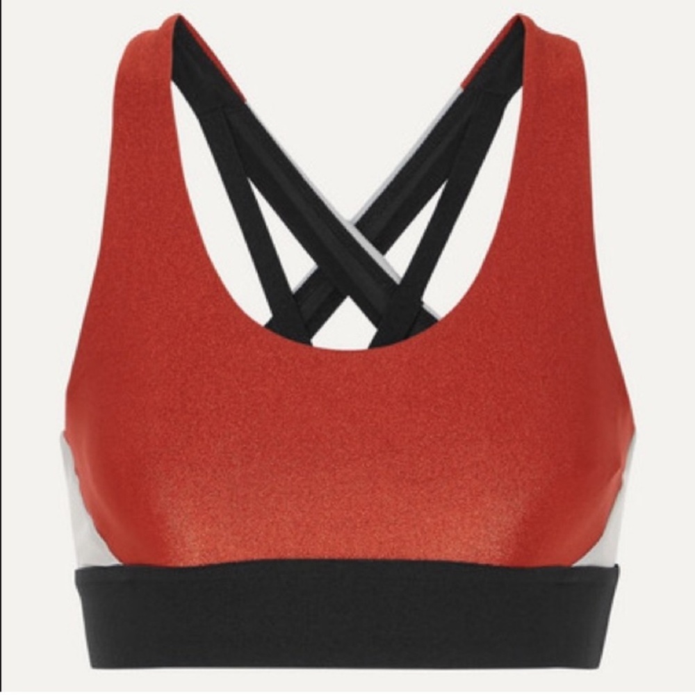 Koral Sports Bra